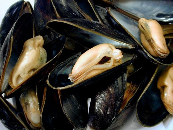 Rassegna delle Cozze di Olbia